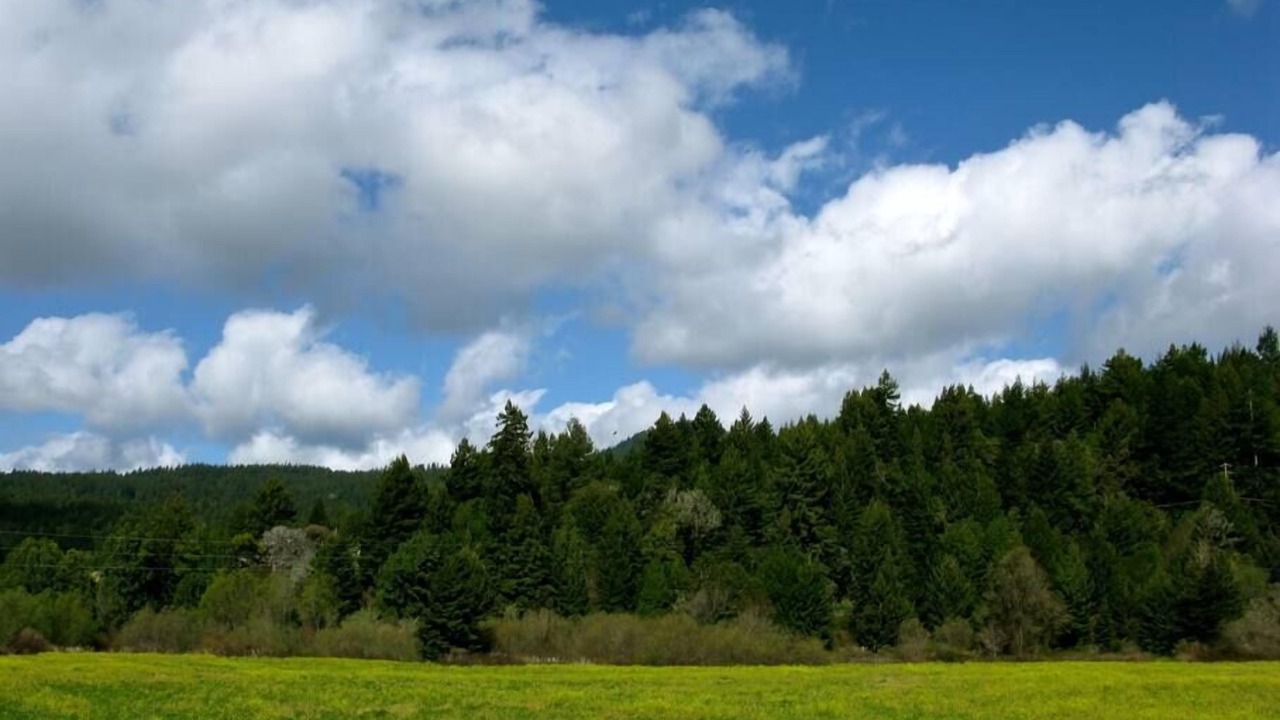 Photo of Outdoor in Arcata