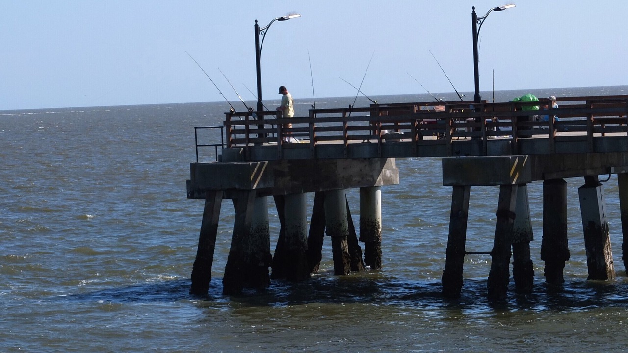 Photo of Others in Saint Simons Island