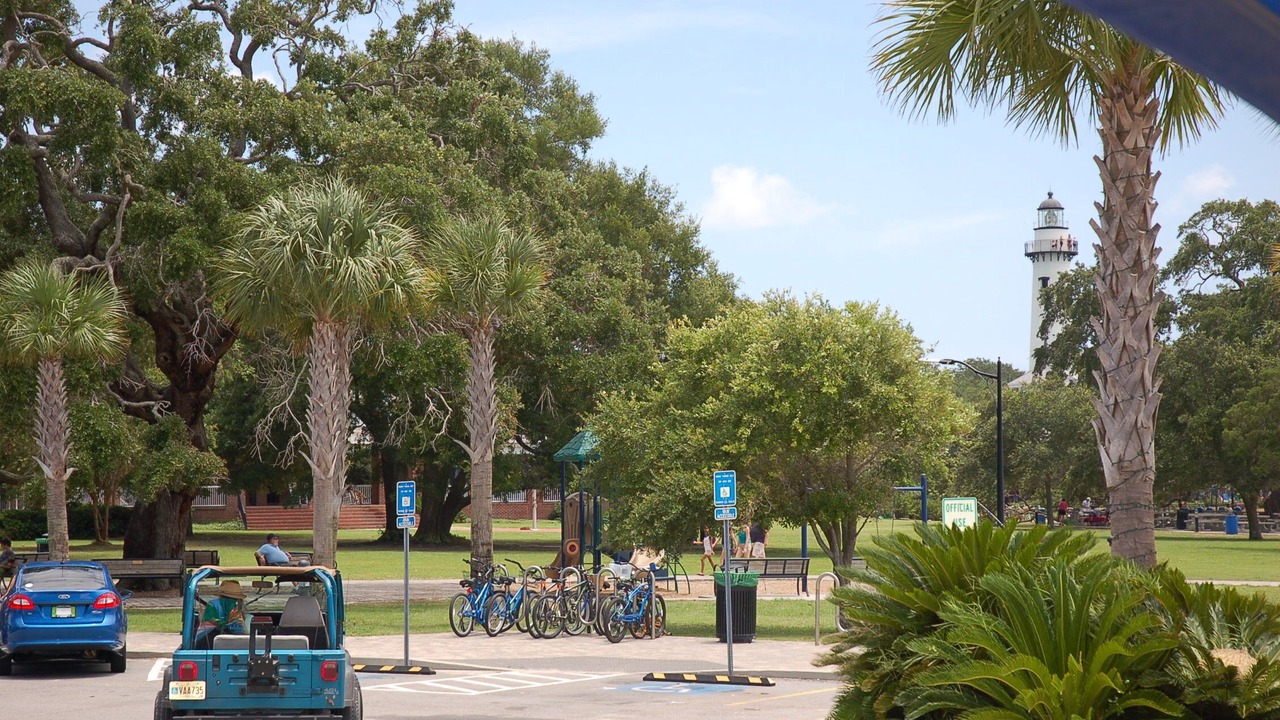 Photo of Others in Saint Simons Island