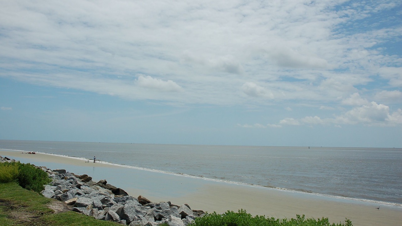 Photo of Others in Saint Simons Island