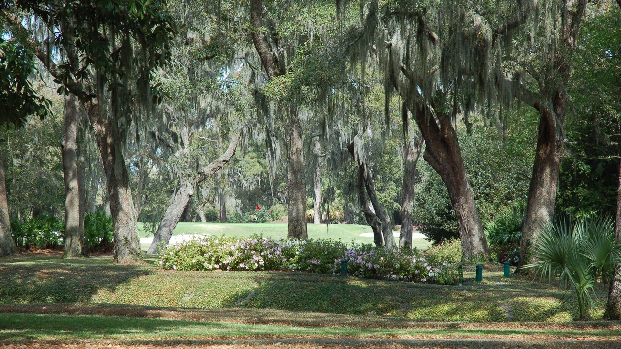 Photo of Others in Saint Simons Island