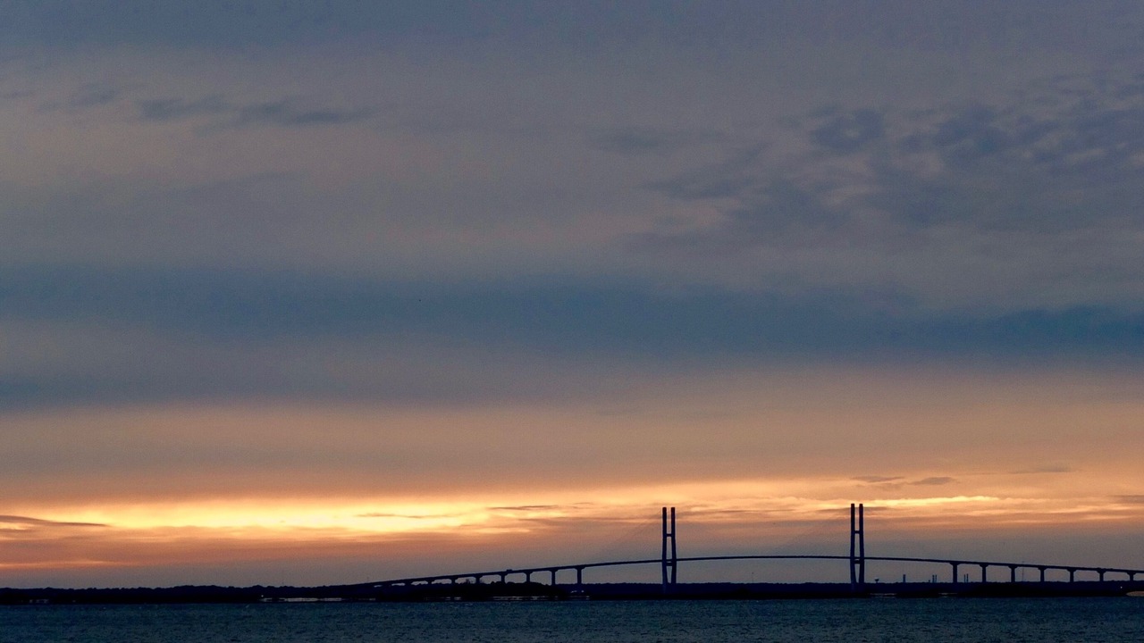 Photo of Others in Saint Simons Island