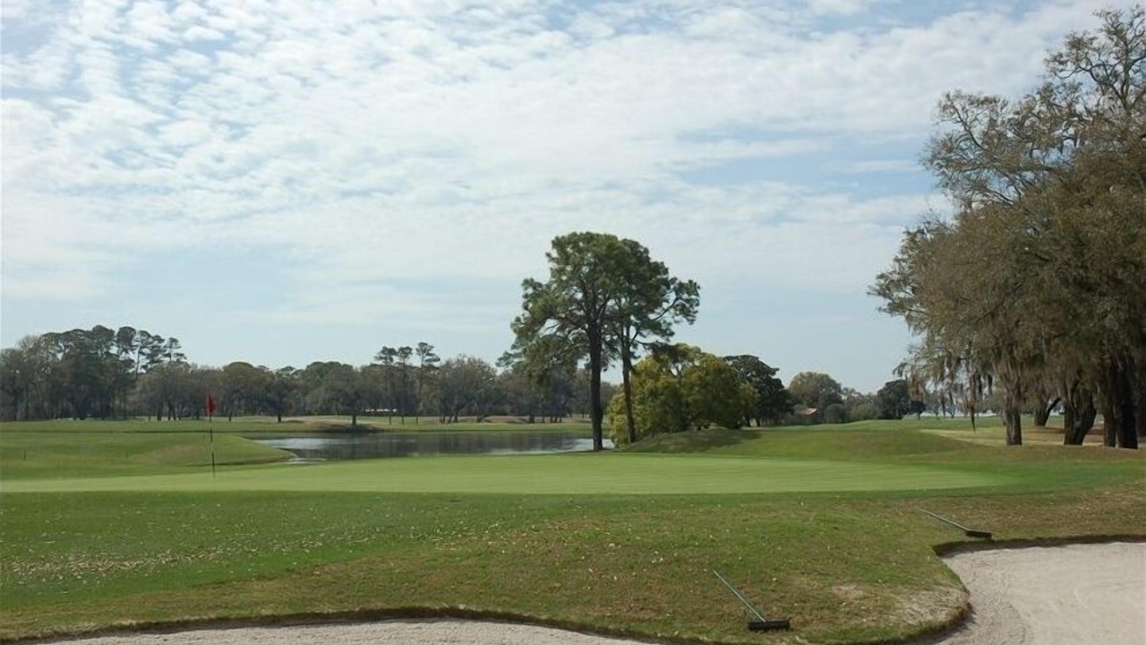 Photo of Others in Saint Simons Island