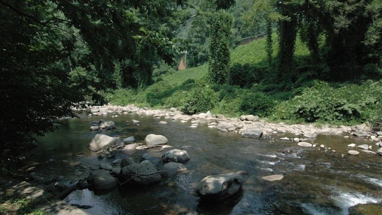 Photo of Outdoor in Gatlinburg