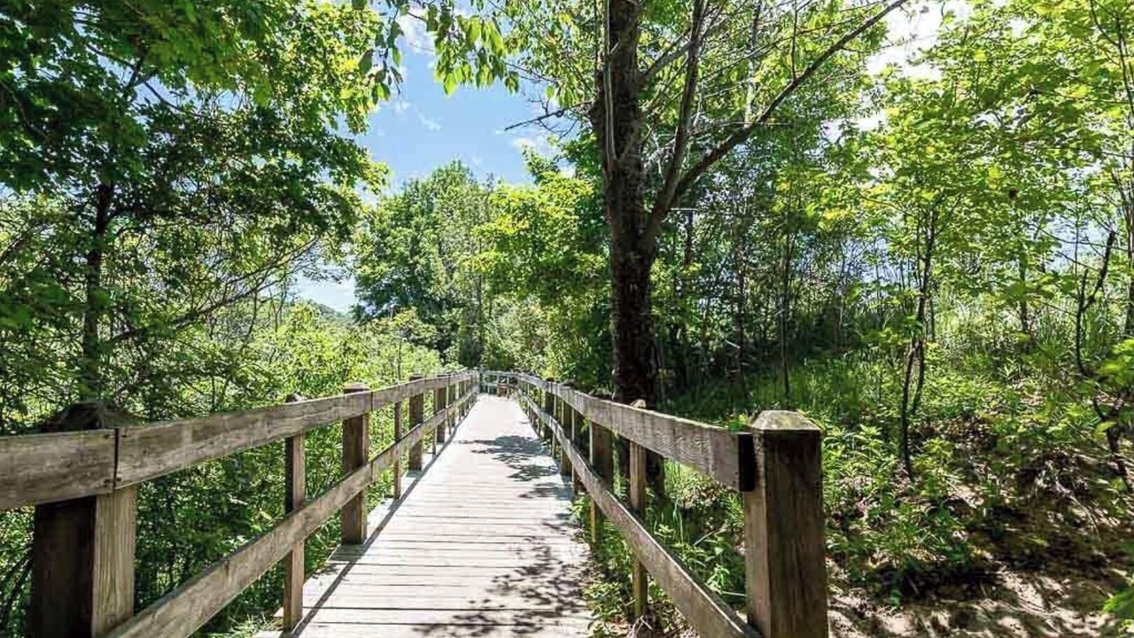 Photo of Outdoor in Twin Lake