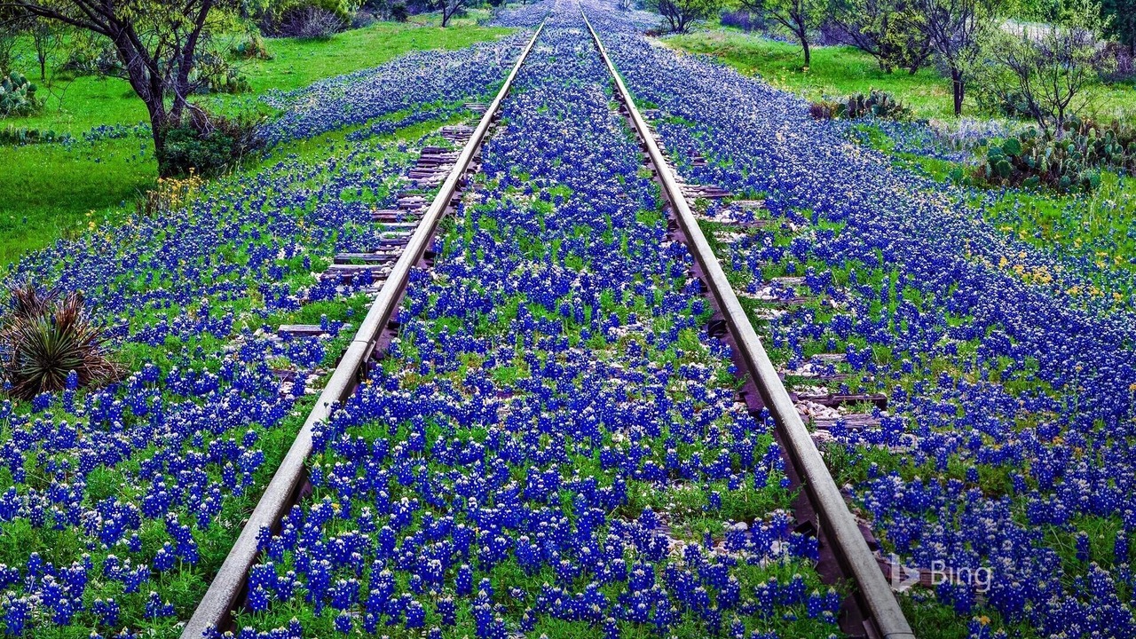 Photo of Outdoor in Bluffview