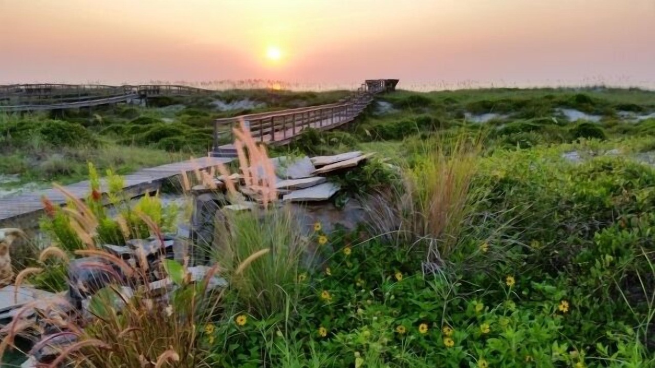 Photo of Outdoor in Fernandina Beach