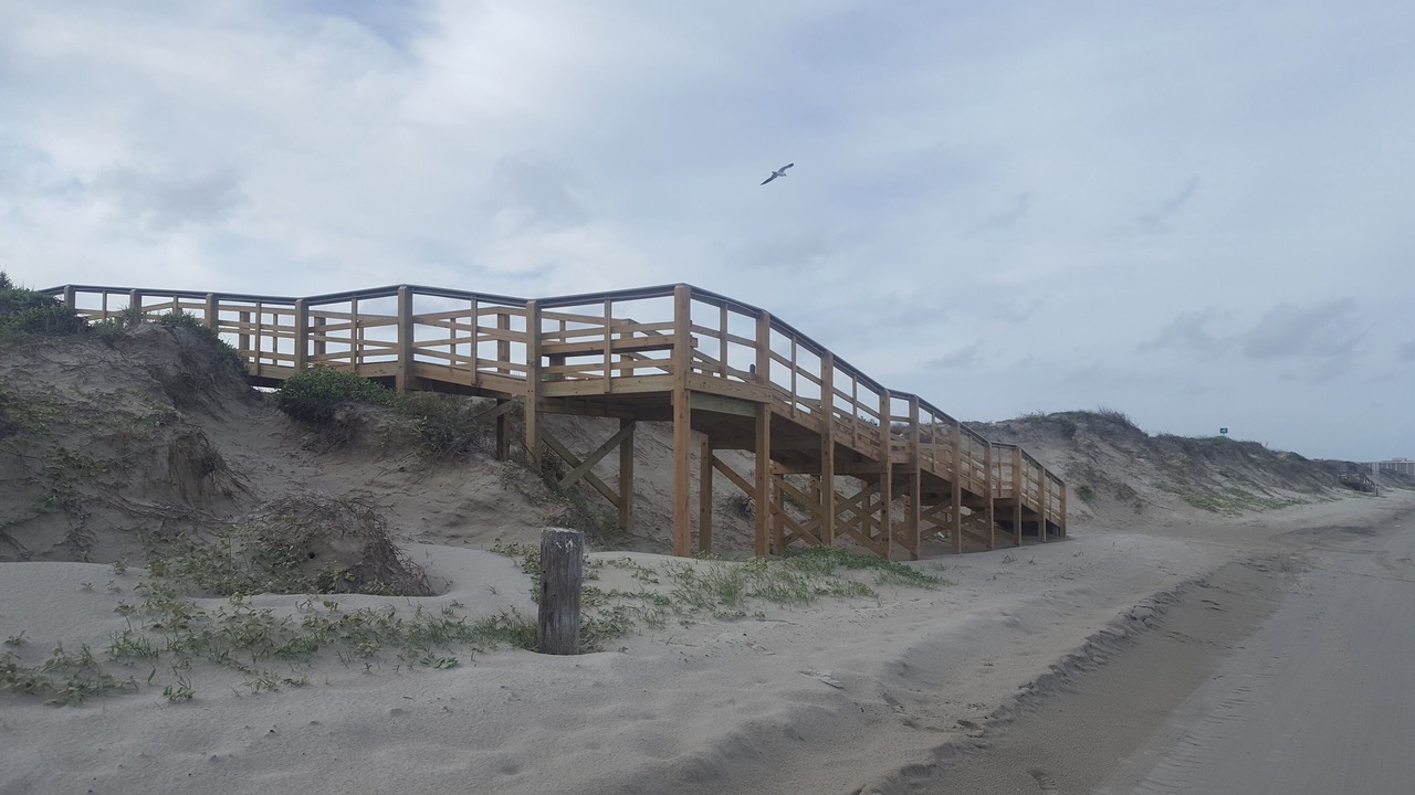 Photo of Others in Port Aransas