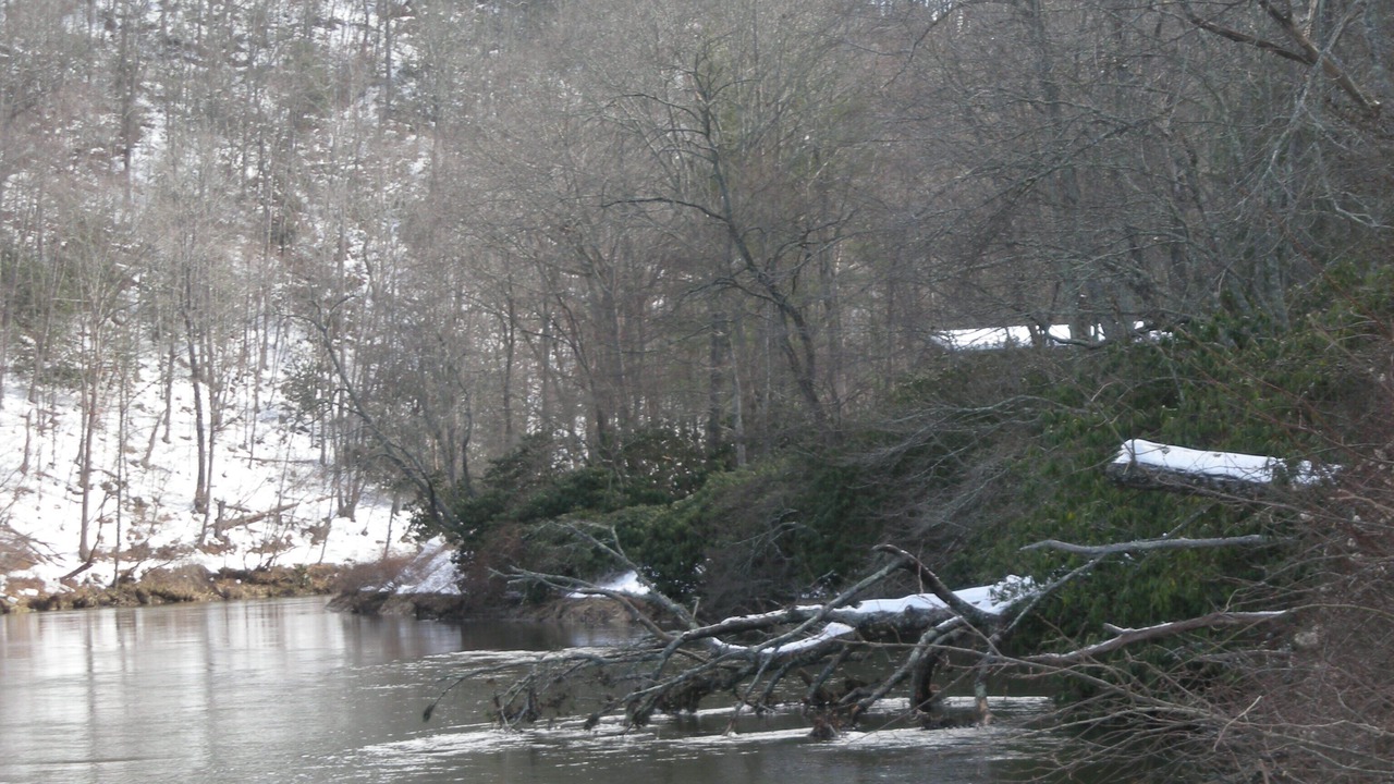 Photo of Others in West Jefferson
