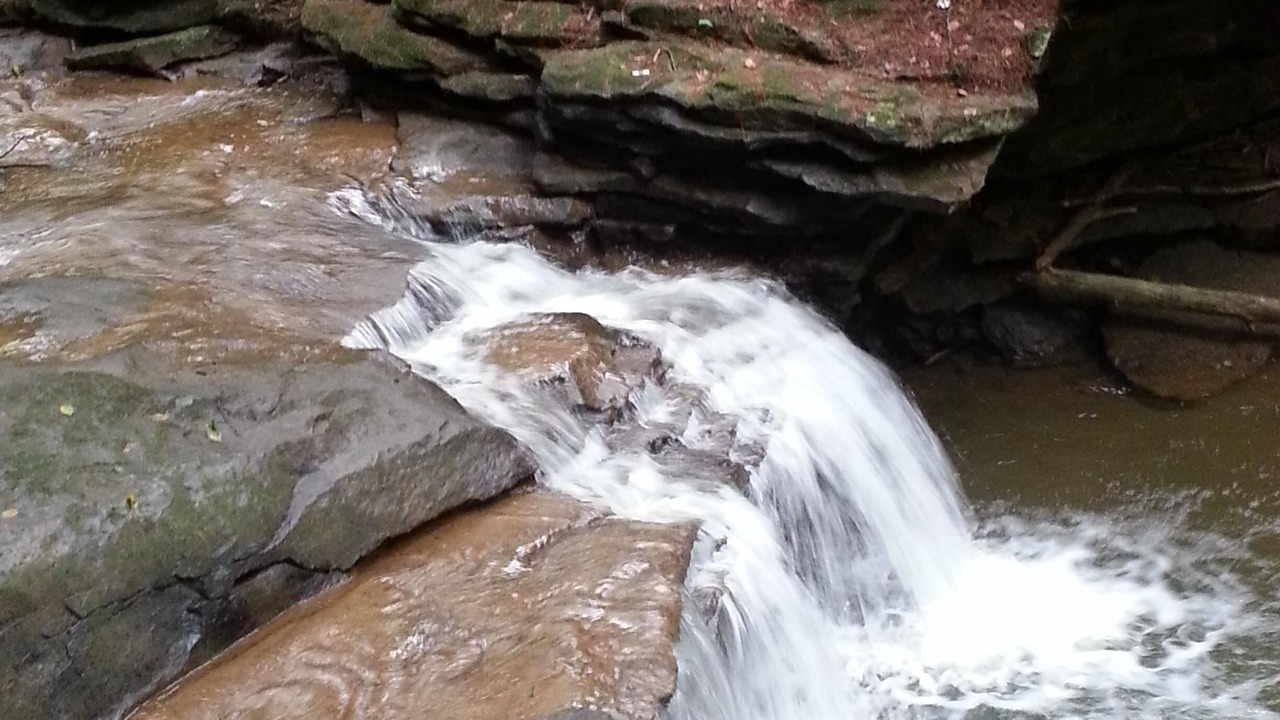 Photo of Others in Emlenton