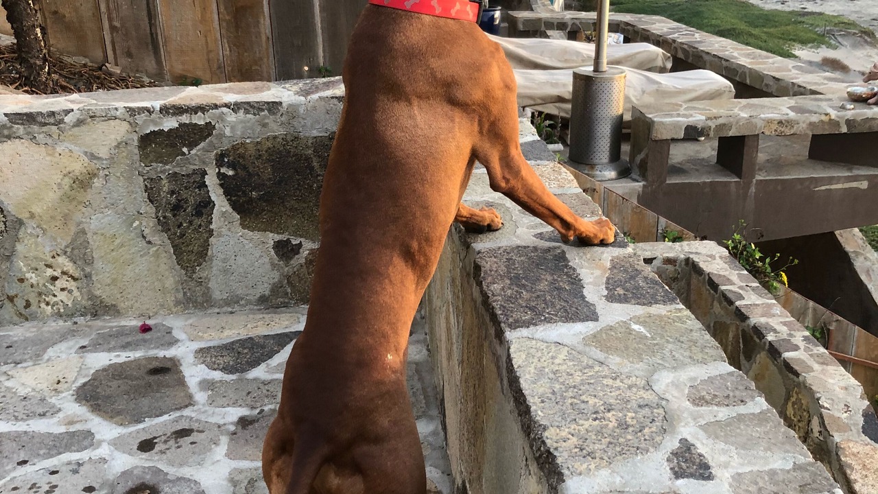 Photo of Others in La Fonda