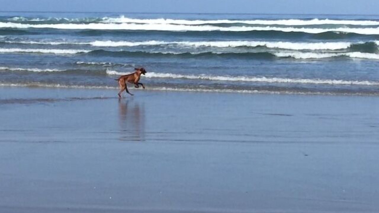 Photo of Others in La Fonda