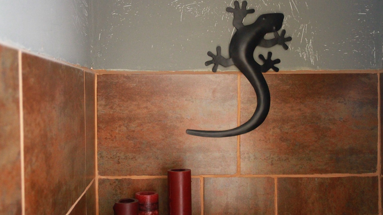 Photo of Bathroom in Peille
