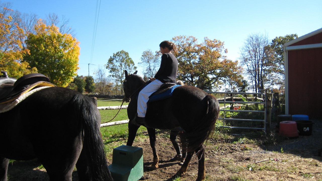 Photo of Others in Bushkill