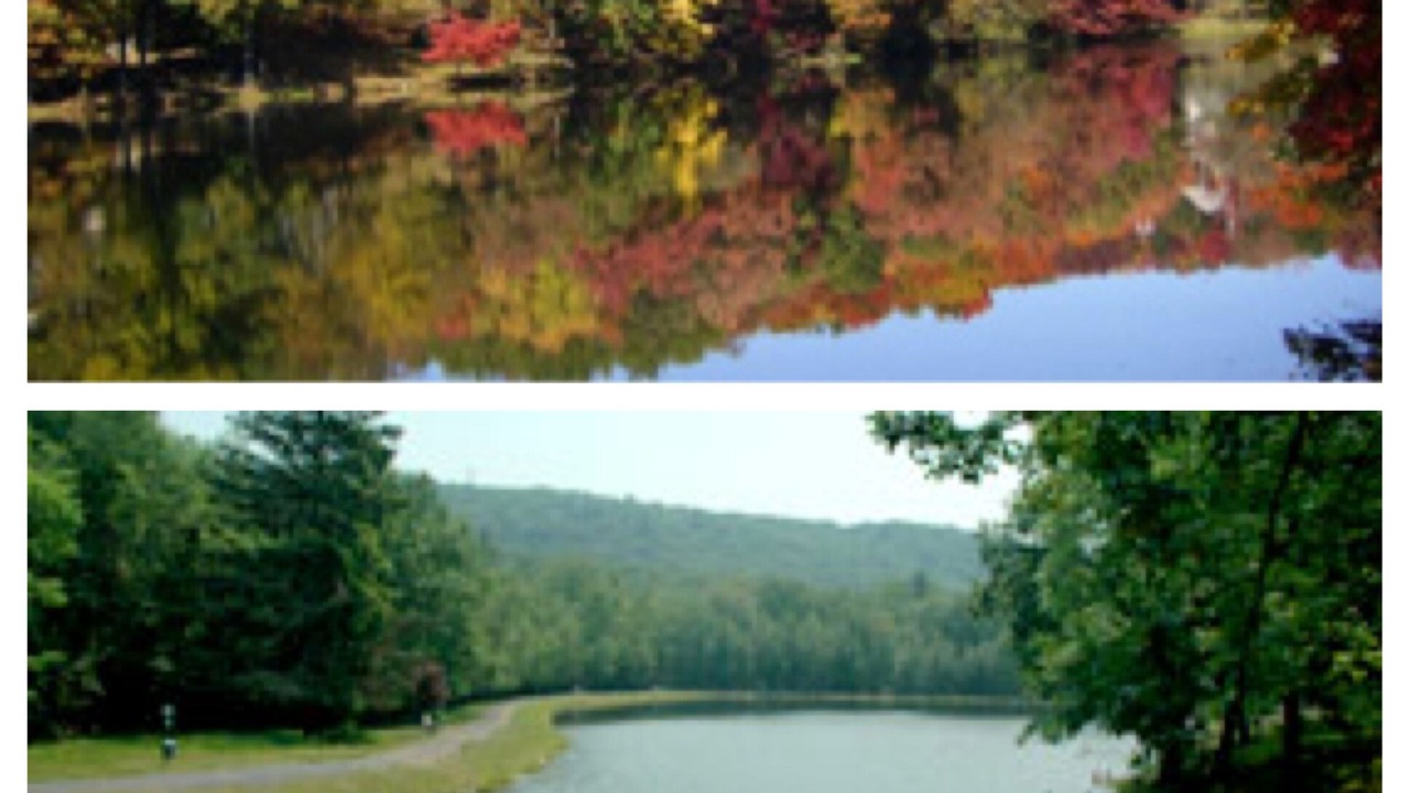 Photo of Others in Bushkill