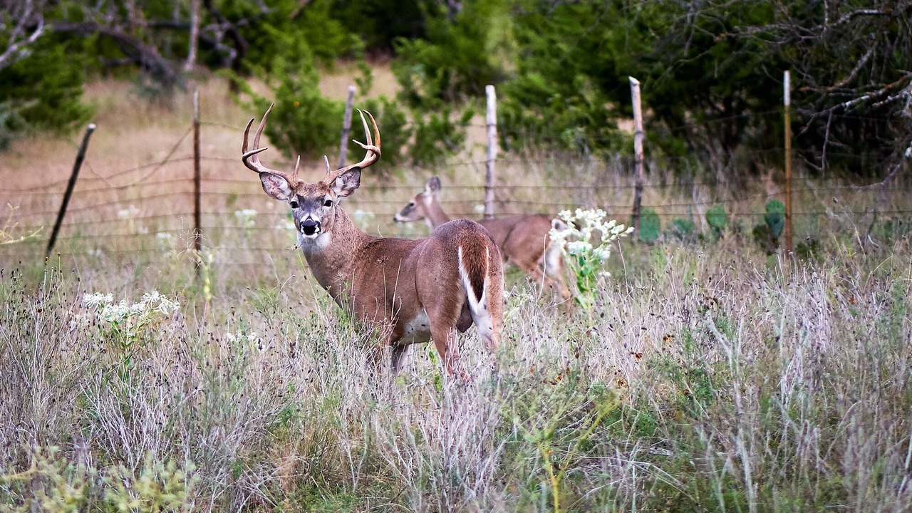 Photo of Others in Fredericksburg