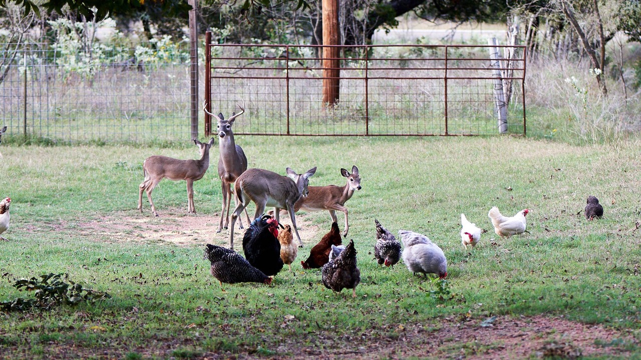 Photo of Others in Fredericksburg