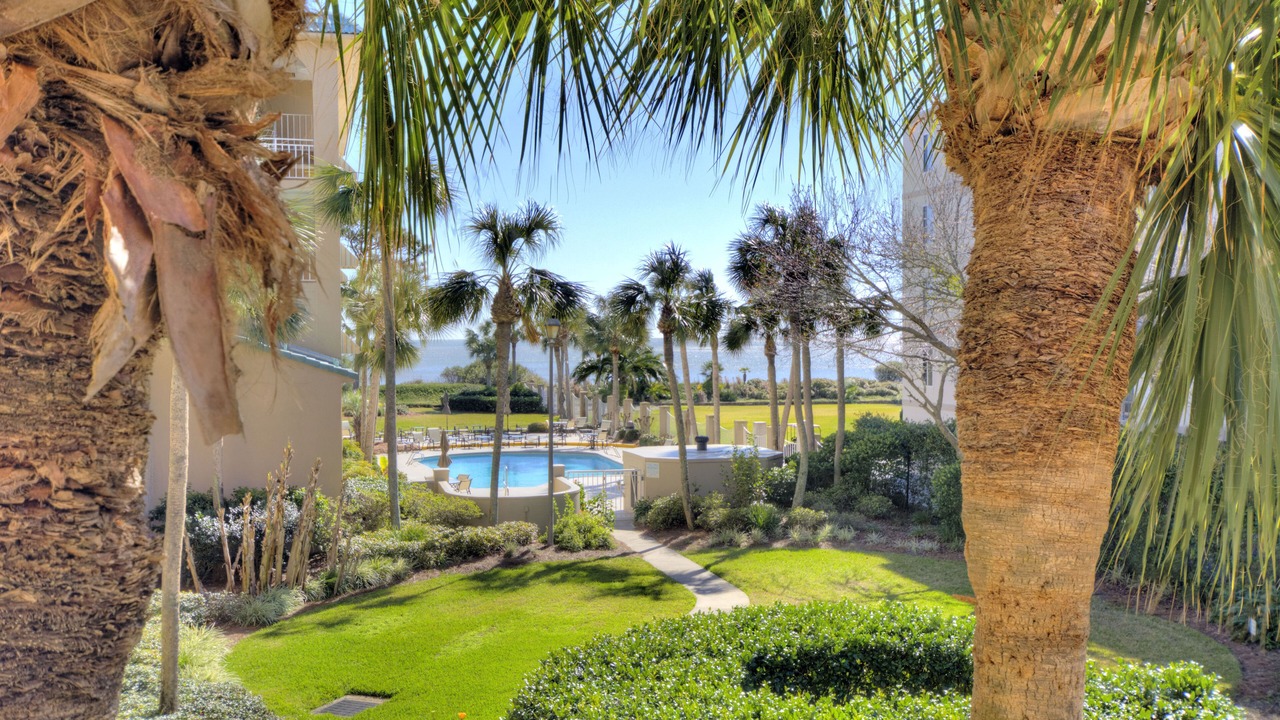 Photo of Others in Saint Simons Island