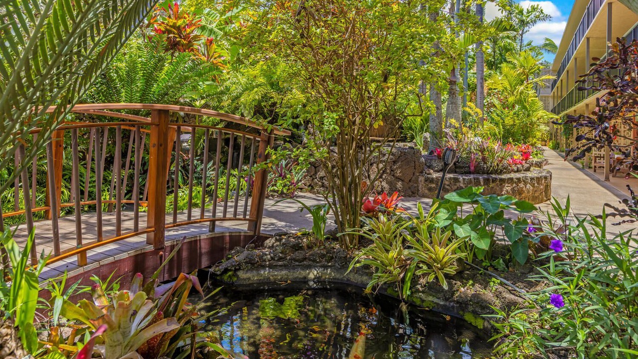 Photo of Outdoor in Poipu