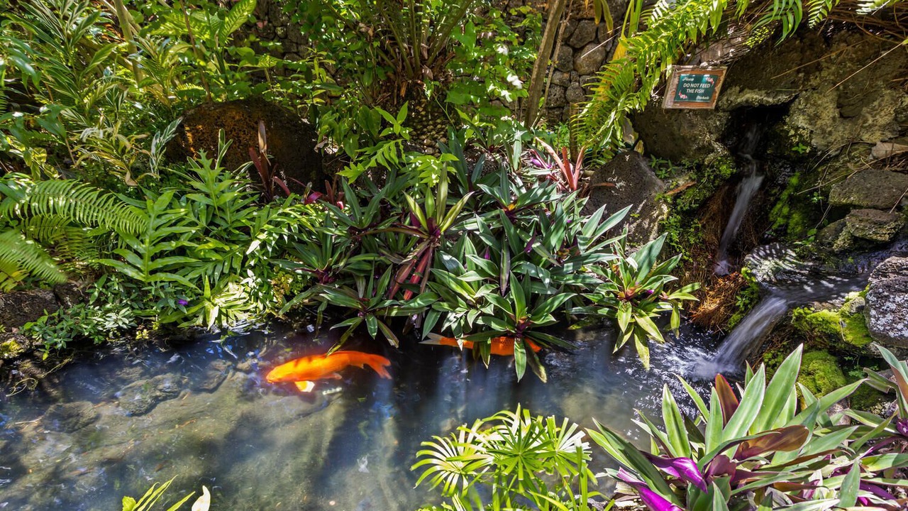 Photo of Outdoor in Poipu