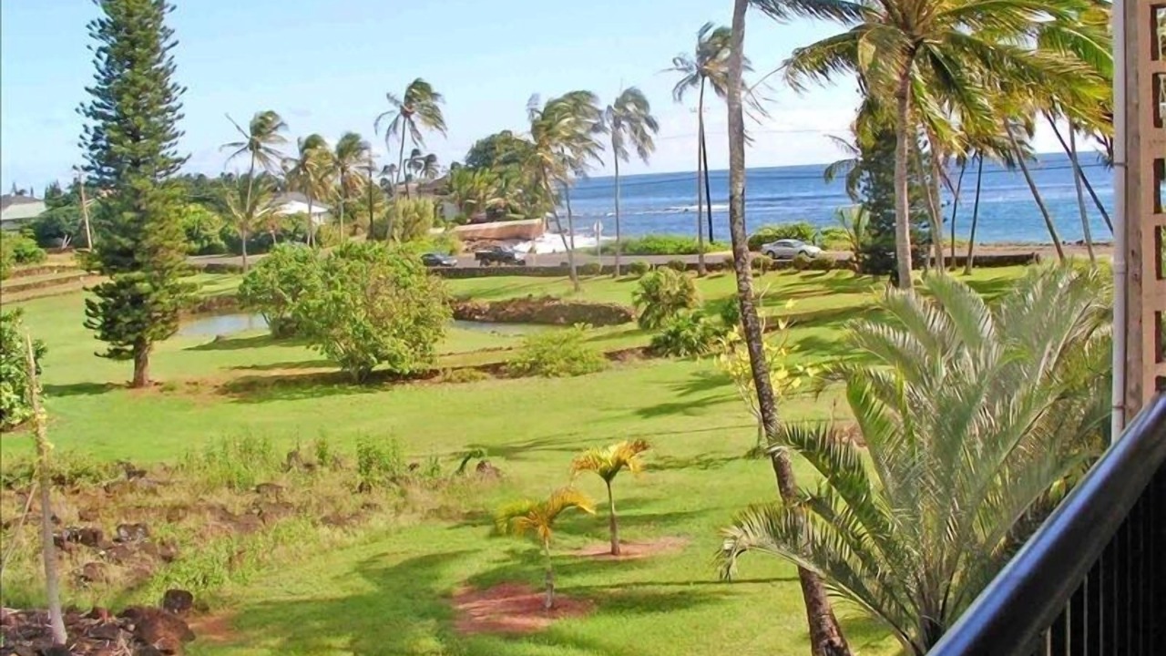 Photo of Others in Poipu