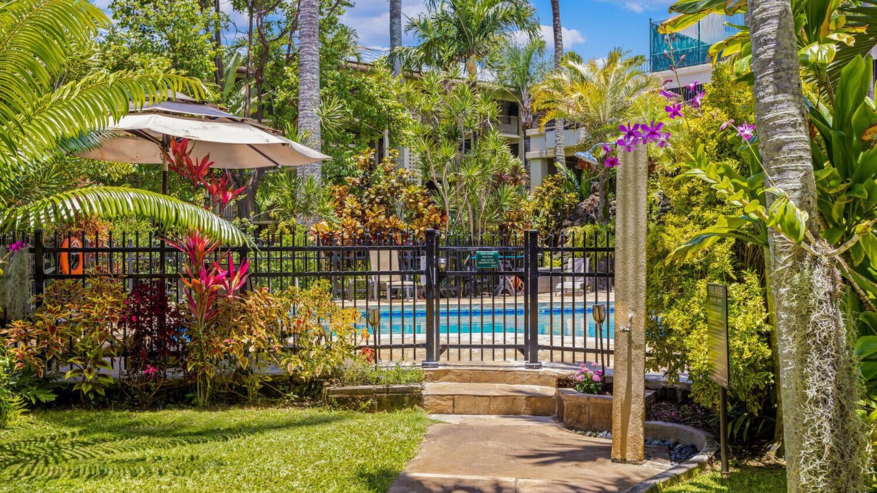 Photo of Outdoor in Poipu