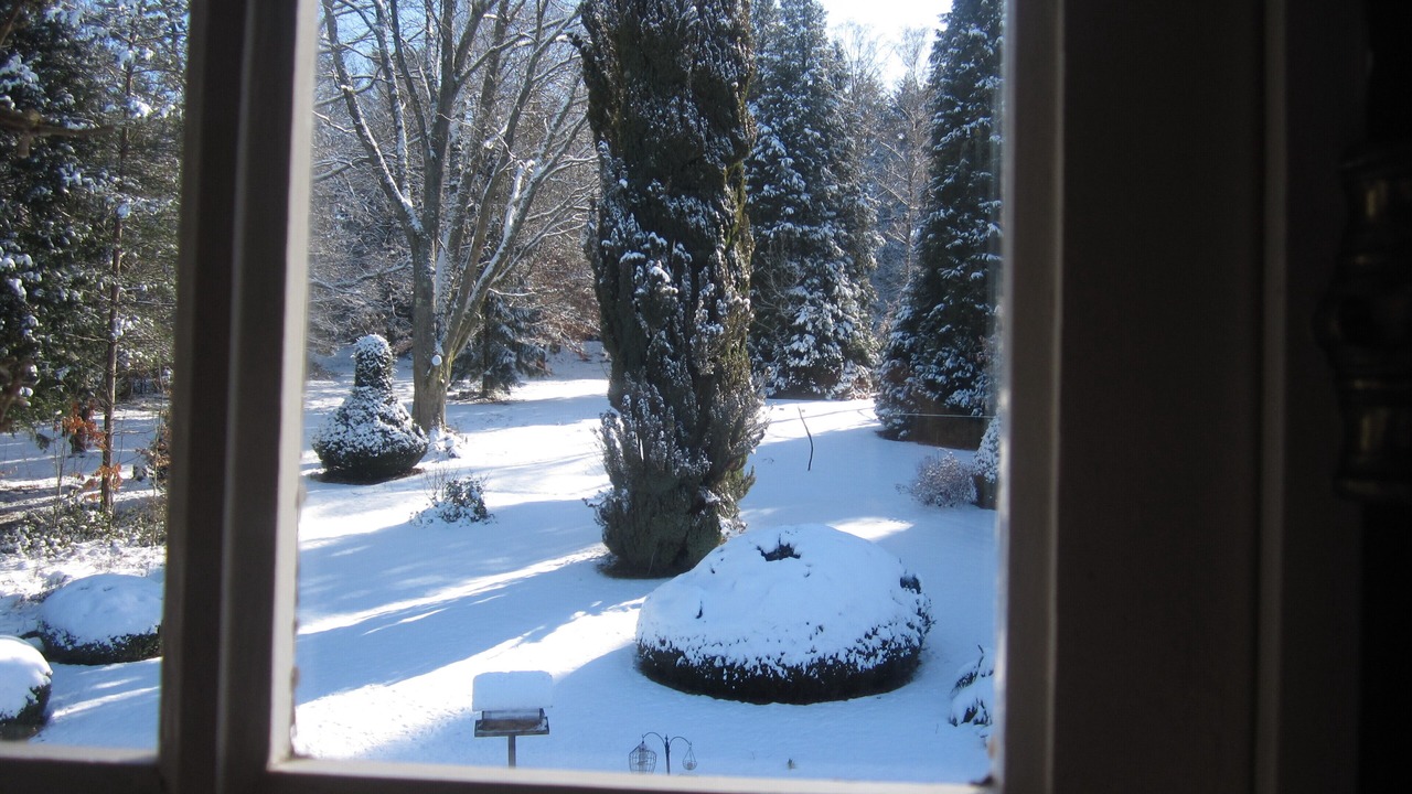 Photo of Others in Chateauneuf-la-Foret