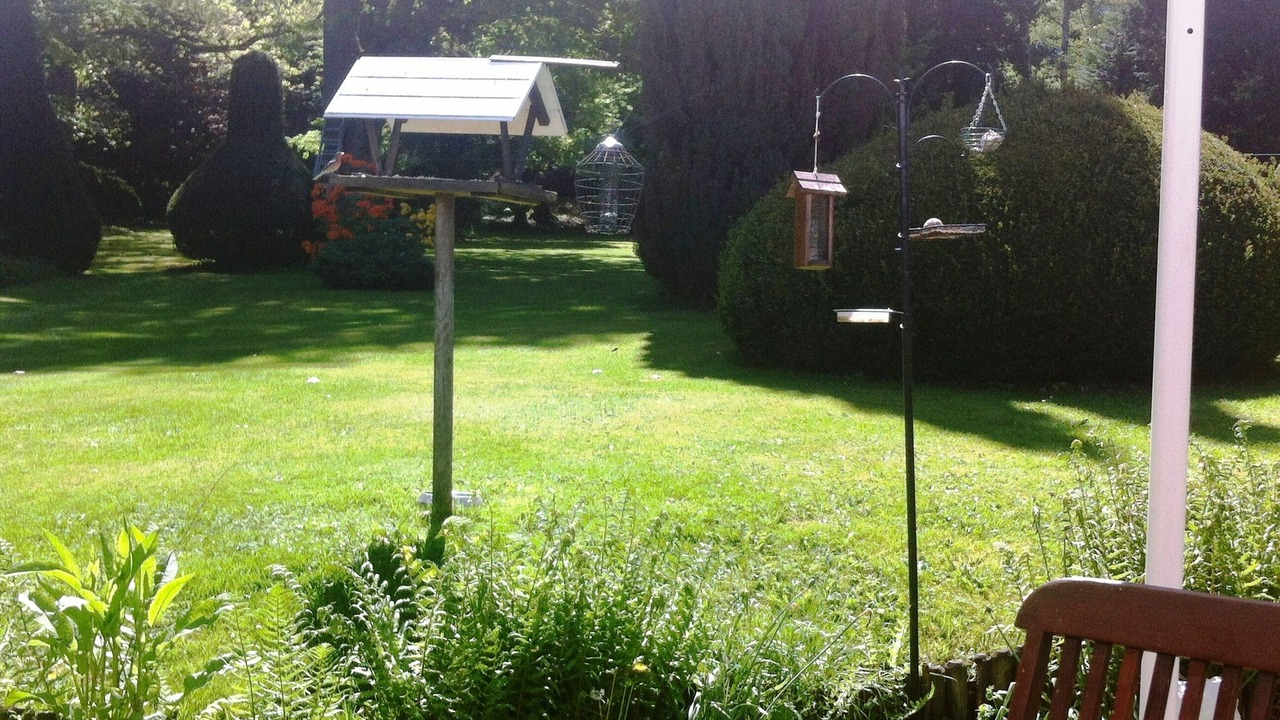 Photo of Outdoor in Chateauneuf-la-Foret