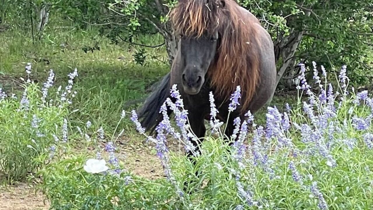 Photo of Others in Fredericksburg