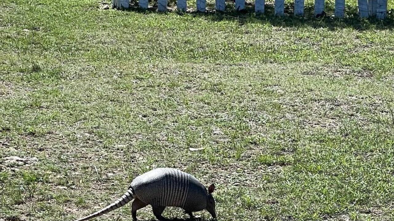 Photo of Others in Fredericksburg