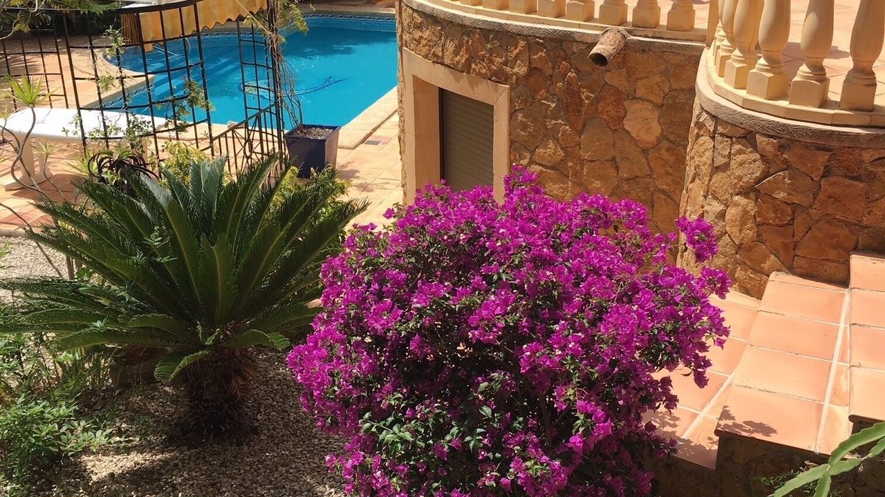 Photo of Patio Balcony in Urbanitzacio la Fustera