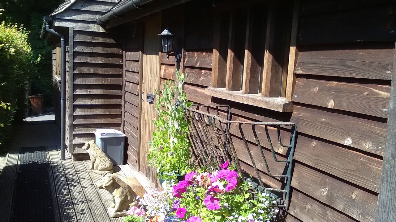 Photo of Others in Sheffield Green