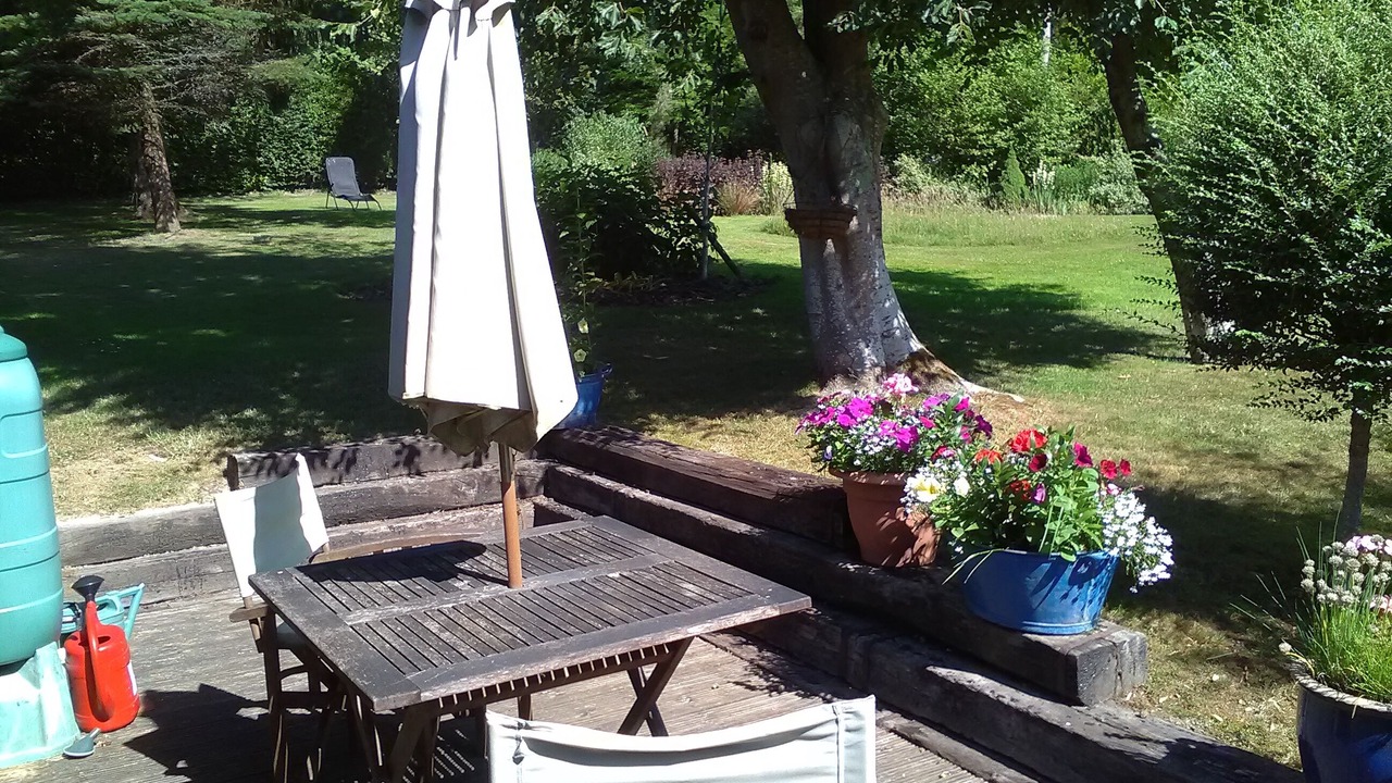 Photo of Others in Sheffield Green