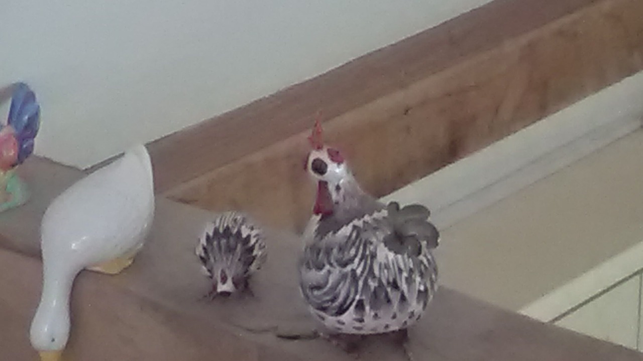 Photo of Others in Sheffield Green