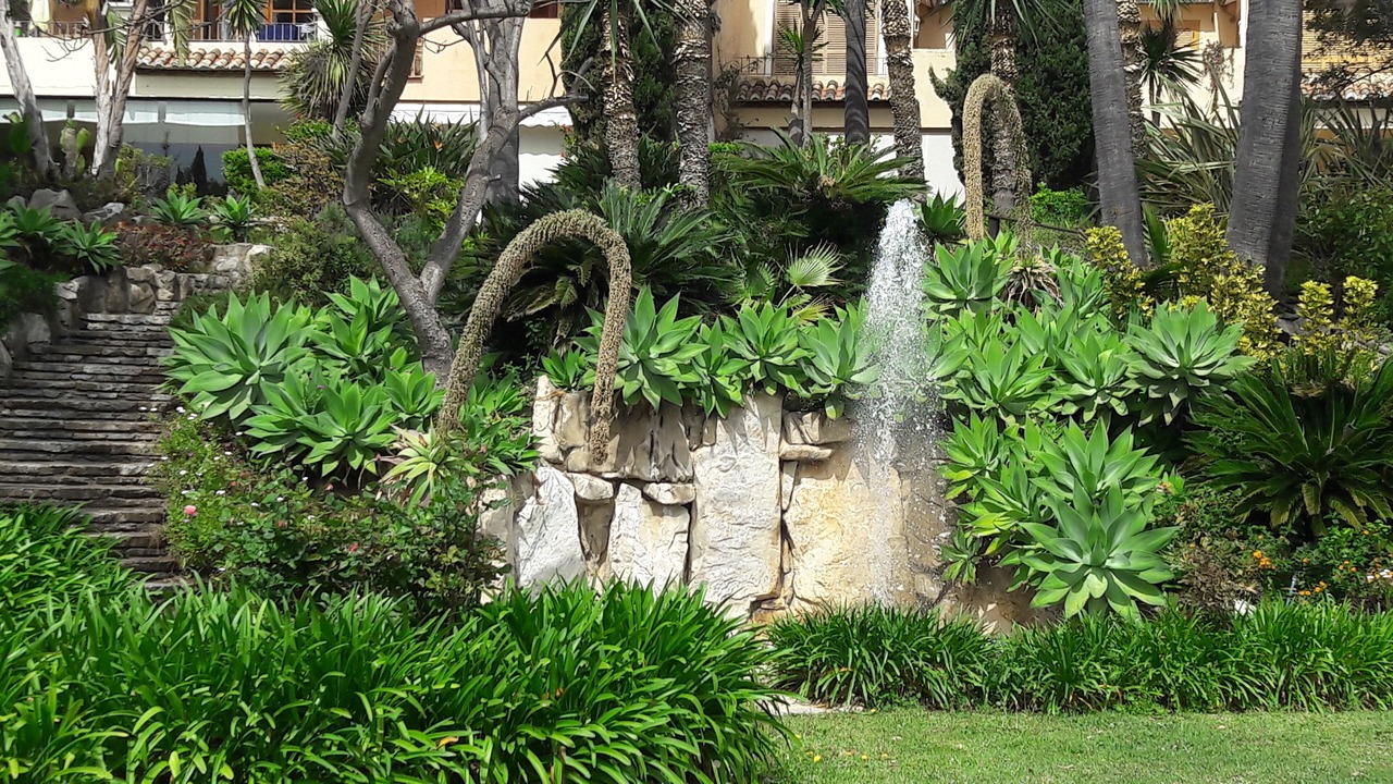 Photo of Outdoor in New Golden Mile