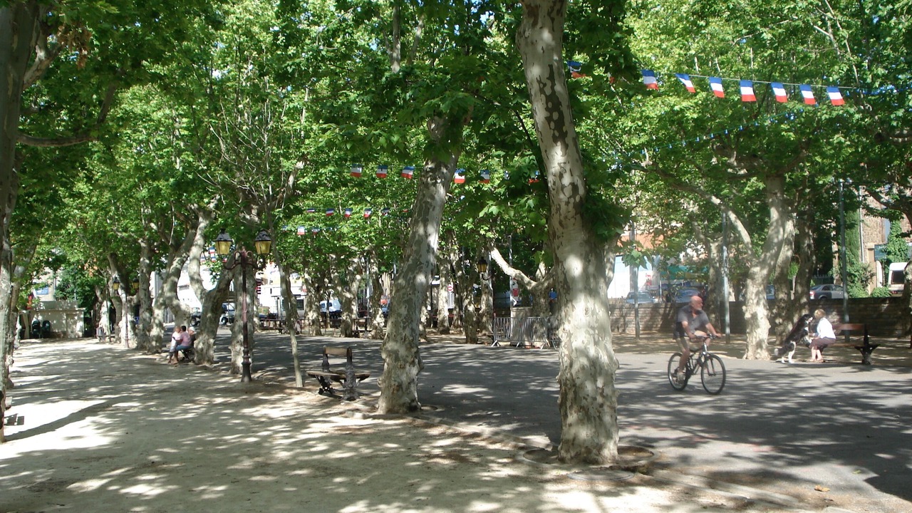 Photo of Others in Saint-Chinian