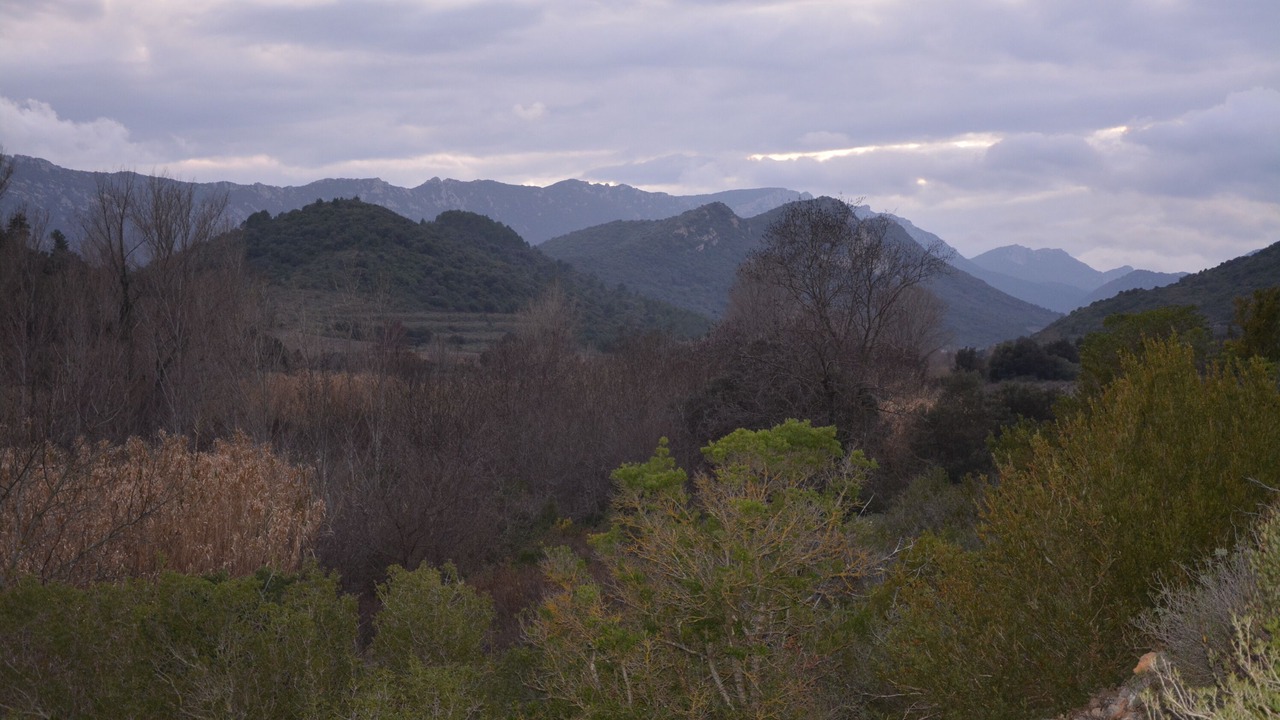 Photo of Others in Padern
