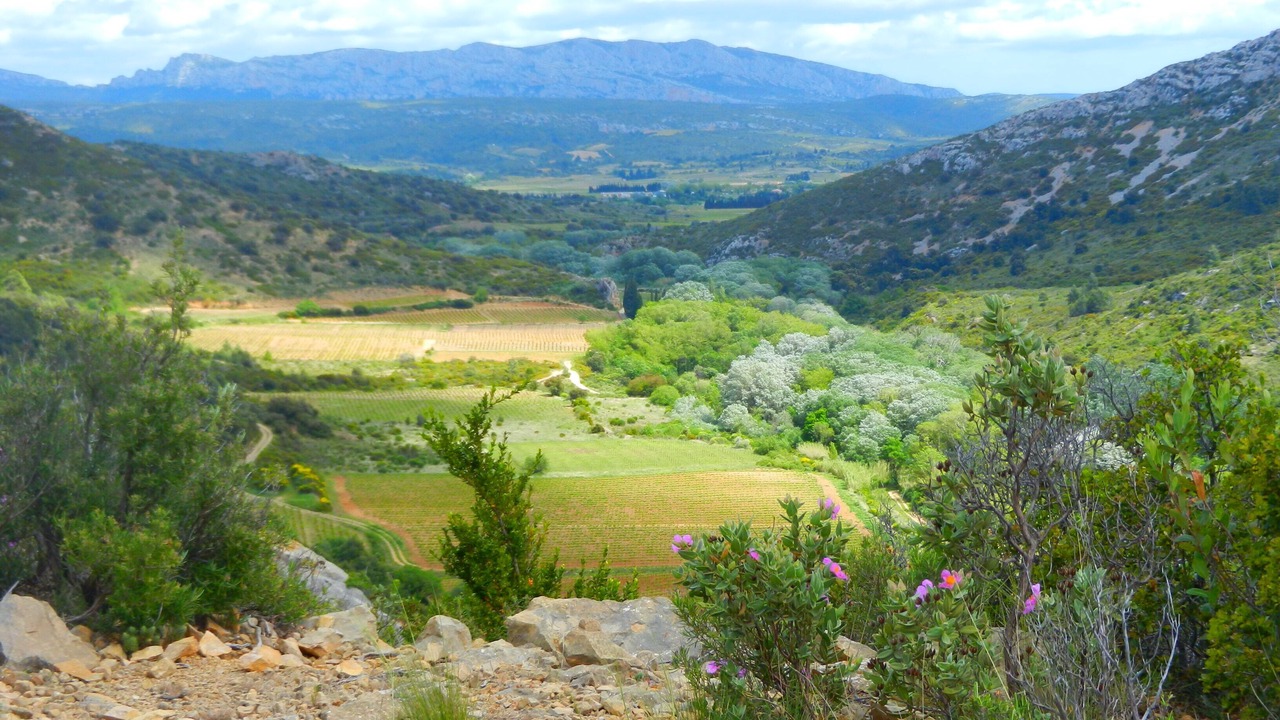 Photo of Outdoor in Padern