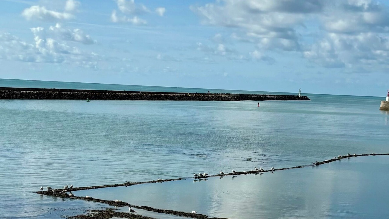 Photo of Others in Saint-Gilles-Croix-de-Vie