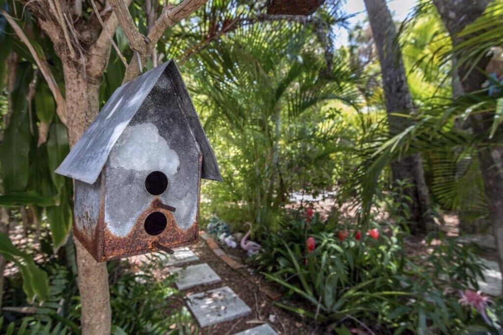 Photo of Others in St. Pete Beach