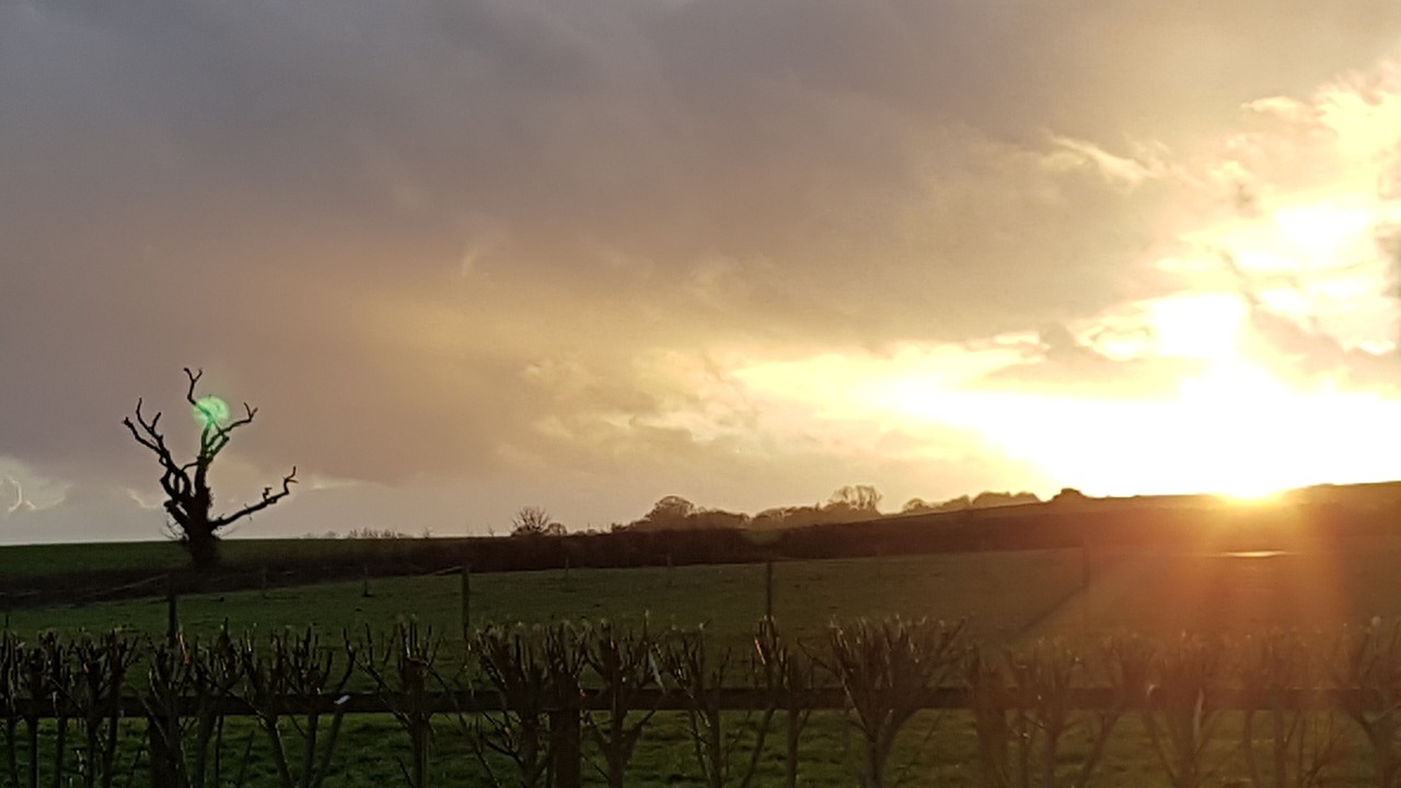 Photo of Others in Saint Blazey