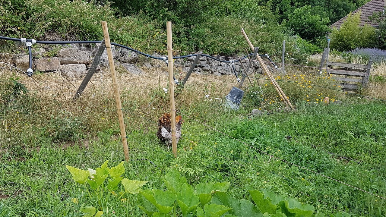 Photo of Outdoor in Saint-Etienne-de-Serre