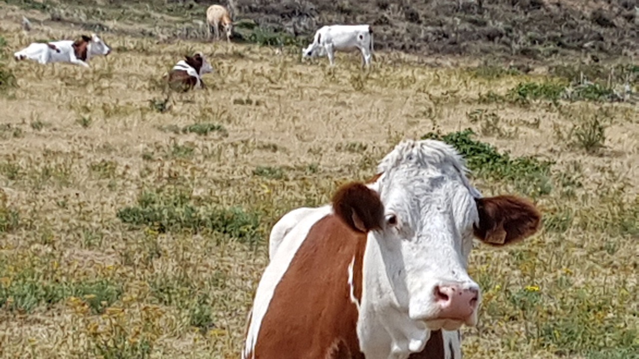 Photo of Outdoor in Saint-Etienne-de-Serre
