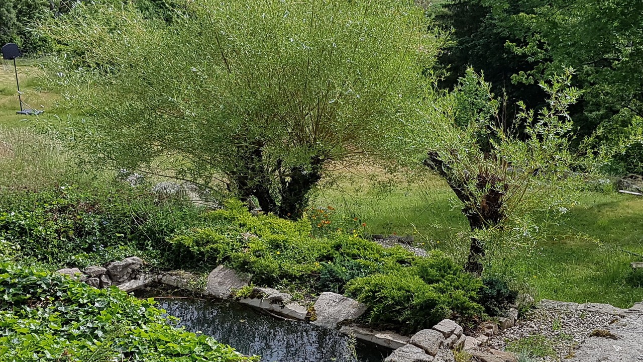 Photo of Outdoor in Saint-Etienne-de-Serre