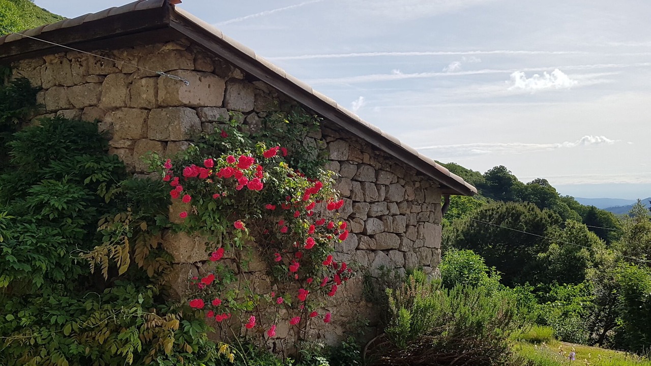 Photo of Outdoor in Saint-Etienne-de-Serre