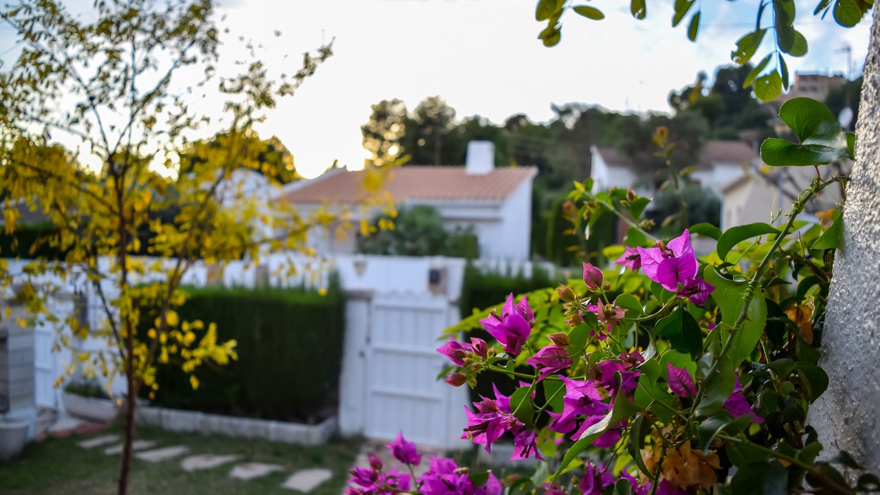 Photo of Outdoor in El Vendrell