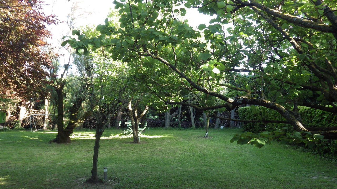 Photo of Outdoor in Caderousse