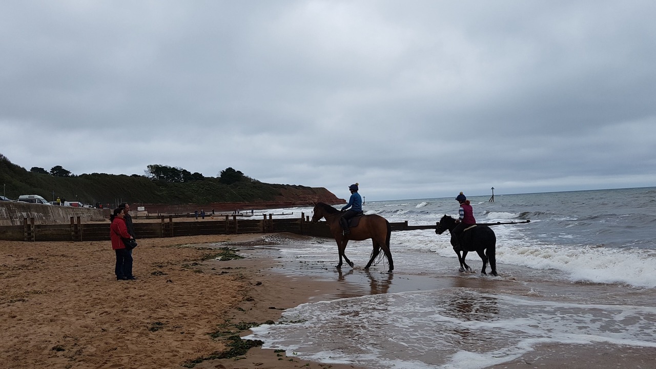 Photo of Others in Highampton