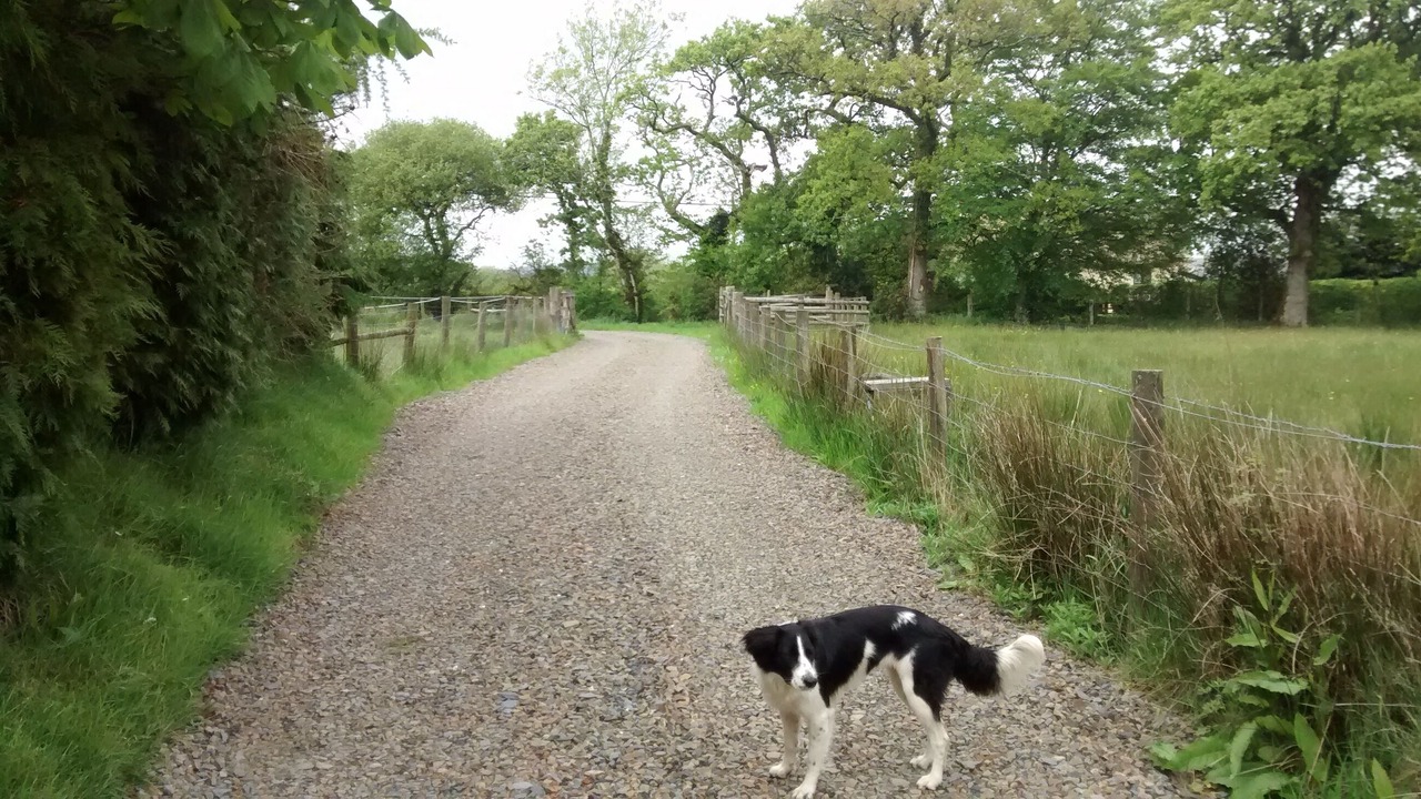 Photo of Others in Highampton