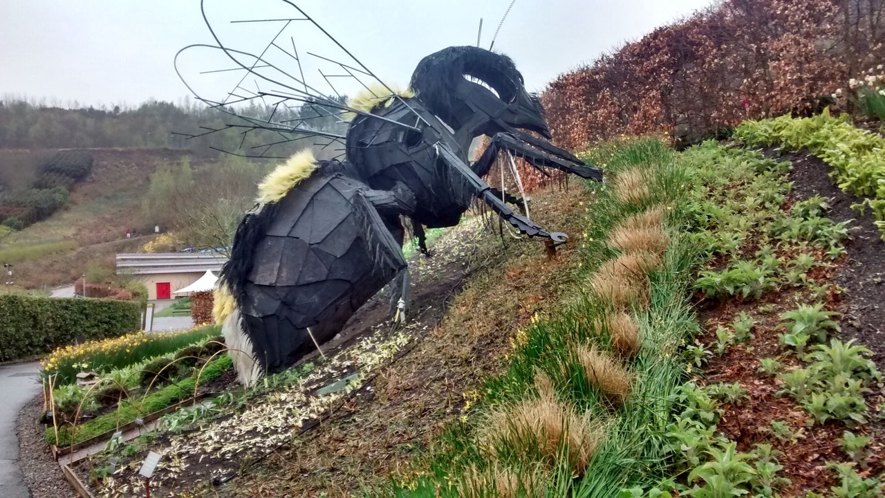 Photo of Others in Highampton